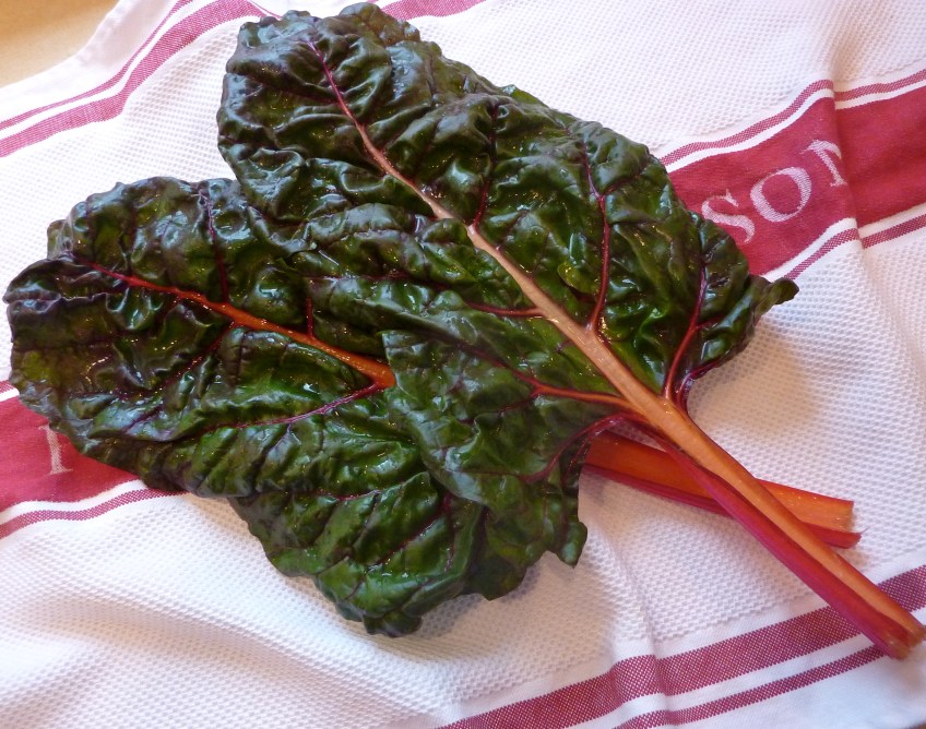 Red Chard