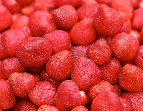 Just-picked Michigan Strawberries
