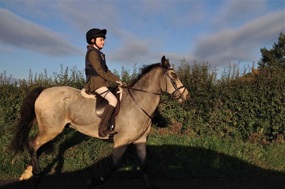 A Hunt in the Vale of Evesham