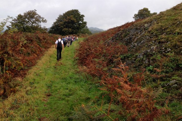Rambling the Malverns